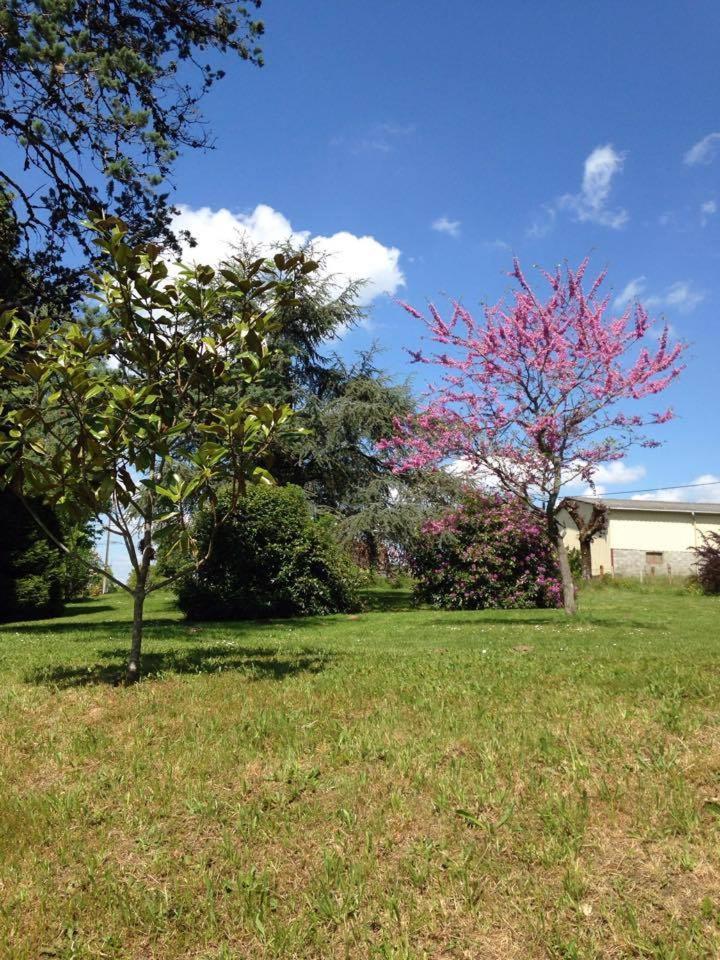 Mialet  Chatelavy, Phoenix Apartment מראה חיצוני תמונה